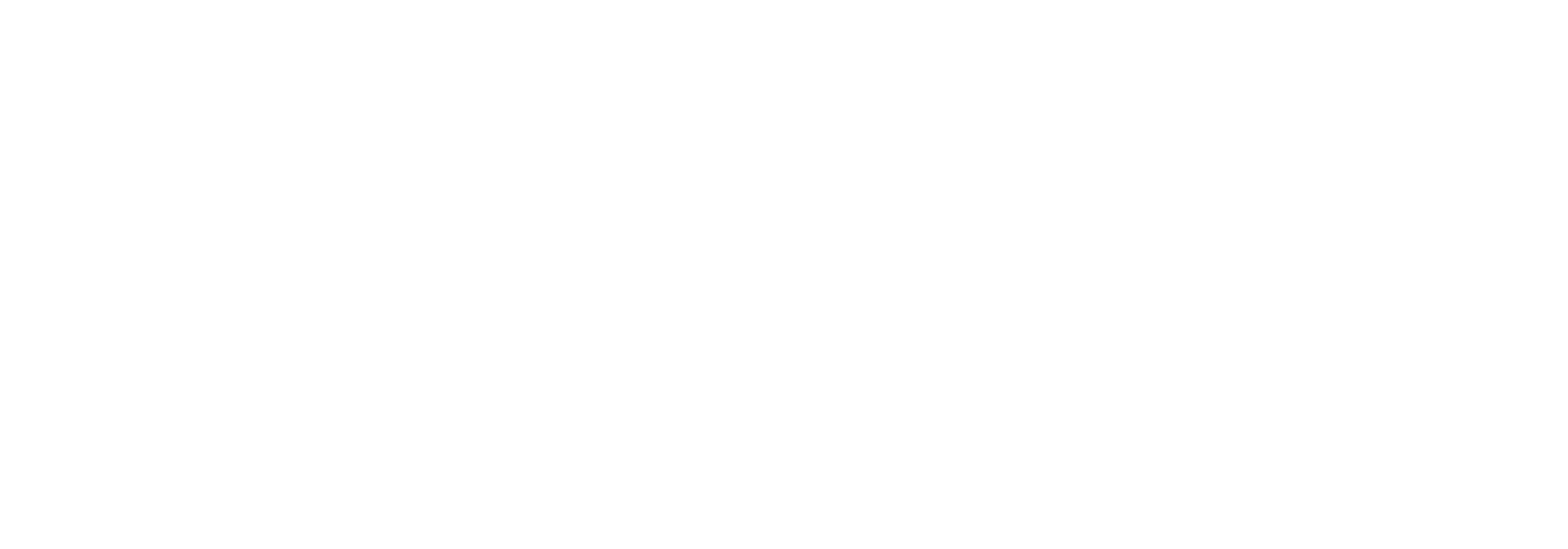Disciple Network Alliance